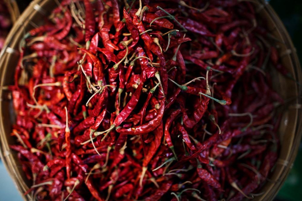 Dry Red Chillies - Premium Export Quality